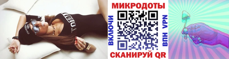 Галлюциногенные грибы Psilocybine cubensis  Купить  Дорогобуж 