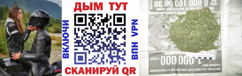 Купить где  Дорогобуж  Конопля Ganja 